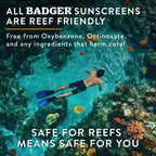 Badger Company, Clear Zinc Sunscreen Cream