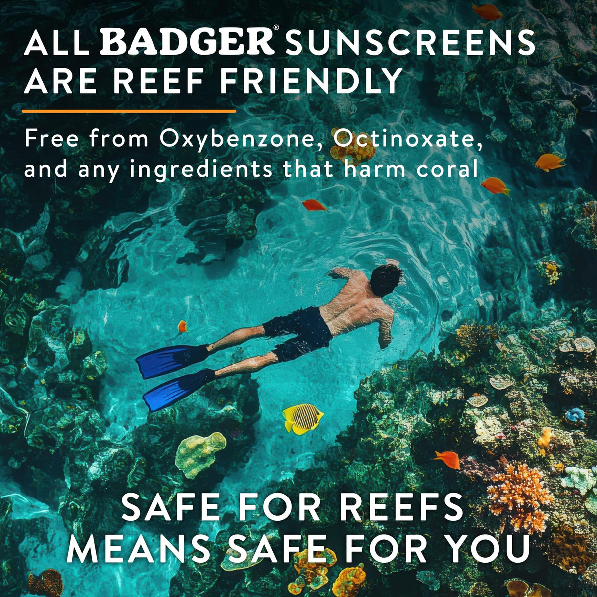 Badger Company, Clear Zinc Sunscreen Cream